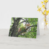 Carte Chat Tabby Orange dans l'arbre (Fleur jaune)
