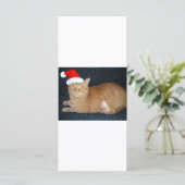 Carte Chat Tabby Orange de Noël (Debout devant)