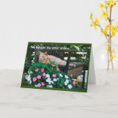 Carte Chat Tabby Orange sur banc de jardin Sympathie (Fleur jaune)