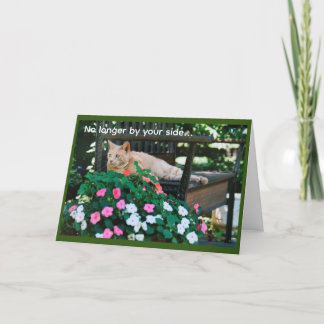 Carte Chat Tabby Orange sur banc de jardin Sympathie
