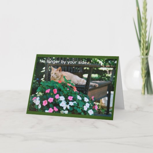 Carte Chat Tabby Orange sur banc de jardin Sympathie (Devant)