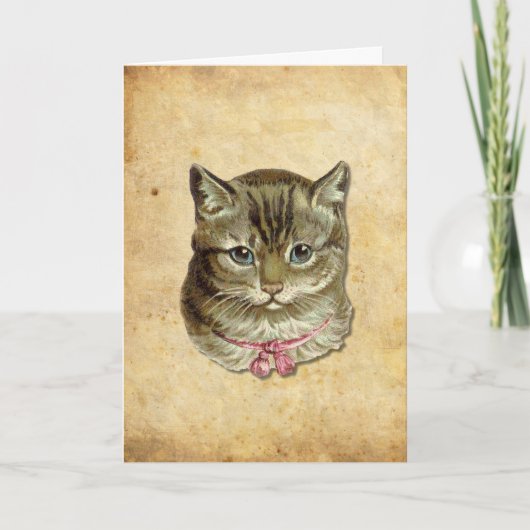 Carte Chat tigré (Devant)