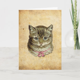 Carte Chat tigré