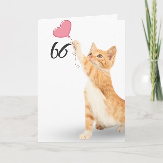Carte chat tigré 66 ans (Devant)