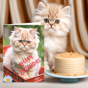 Carte Chat tigré au gingembre et à la crème dans un char