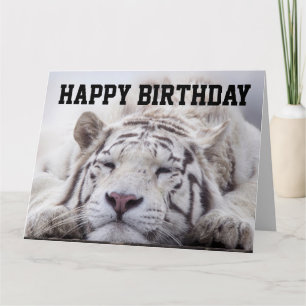 CARTE CHAT TIGRE BLANC DORMIR, MANGER GÂTEAU, CART