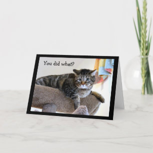 Carte Chat tigré bouleversé