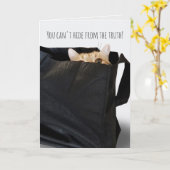 Carte chat tigré d'anniversaire dans un sac noir (Fleur jaune)