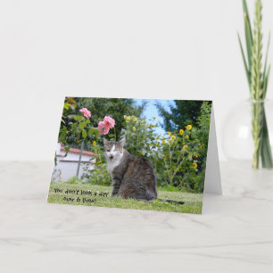 Carte chat tigré d'anniversaire humoristique