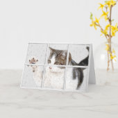 Carte chat tigré dans la fenêtre d'anniversaire (Fleur jaune)