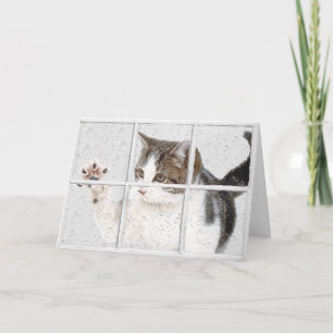 Carte chat tigré dans la fenêtre d'anniversaire
