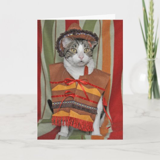 Carte Chat tigré de Cinco De Mayo (Devant)