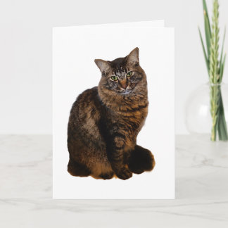 Carte Chat Tigre - Intérieur Vierge