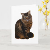 Carte Chat Tigre - Intérieur Vierge (Fleur jaune)
