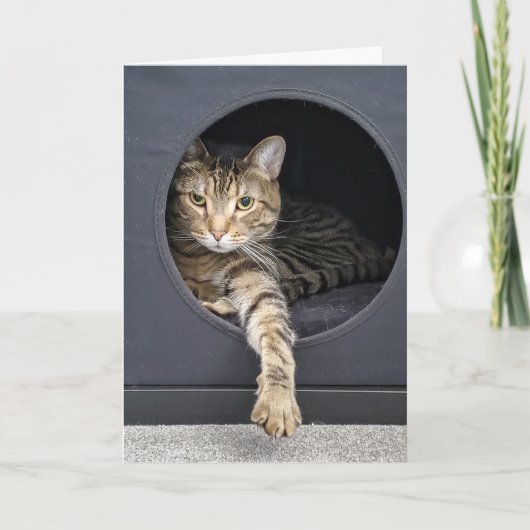 Carte chat tigré résolution du Nouvel An (Devant)