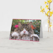 Carte Chat tigré sur le tronçon d'arbre avec la (Fleur jaune)