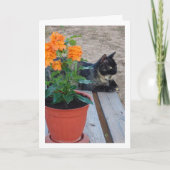 Carte Chat Tortoiseshell avec Fleurs de Pancre (Devant)