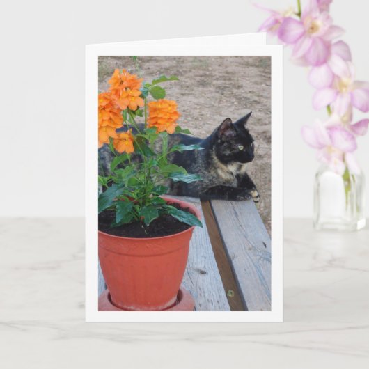 Carte Chat Tortoiseshell avec Fleurs de Pancre (Orchidée)