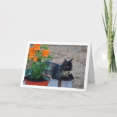Carte Chat Tortoiseshell avec Fleurs de Pancre (Devant)