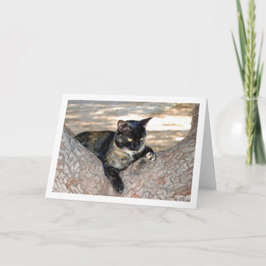 Carte Chat Tortoiseshell dans l'arbre (Devant)