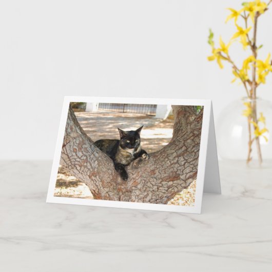 Carte Chat Tortoiseshell dans l'arbre (Fleur jaune)