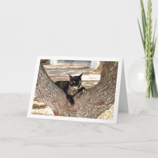 Carte Chat Tortoiseshell dans l'arbre (Devant)