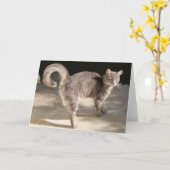 CARTE CHAT TURQUE (Fleur jaune)