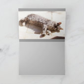 CARTE CHAT TURQUE (Intérieur)