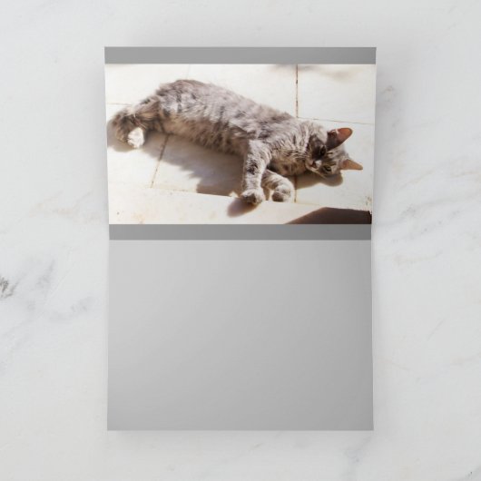 CARTE CHAT TURQUE (Intérieur)