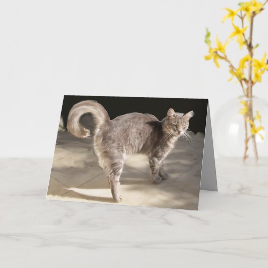 CARTE CHAT TURQUE (Fleur jaune)