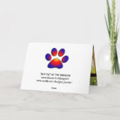 CARTE CHAT TURQUE À LA FENÊTRE (Dos)