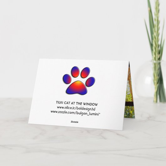 CARTE CHAT TURQUE À LA FENÊTRE (Dos)