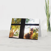 CARTE CHAT TURQUE À LA FENÊTRE (Devant)