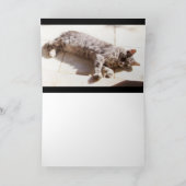 CARTE CHAT TURQUE GRAS (Intérieur)