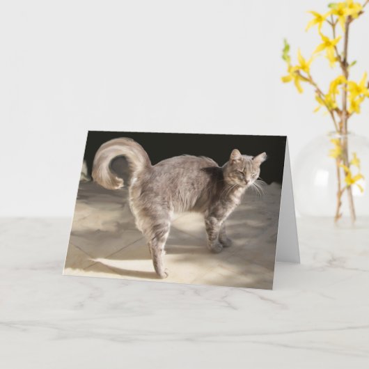 CARTE CHAT TURQUE GRAS (Fleur jaune)