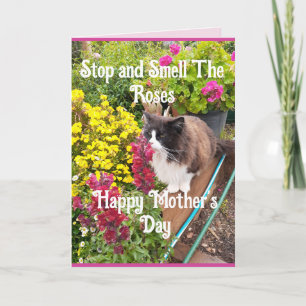 Carte Chat Tuxedo reniflant des fleurs drôle fête des mè