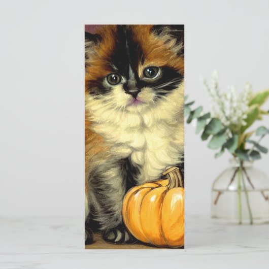 Carte Chat vintage Ragdoll Halloween (Debout devant)