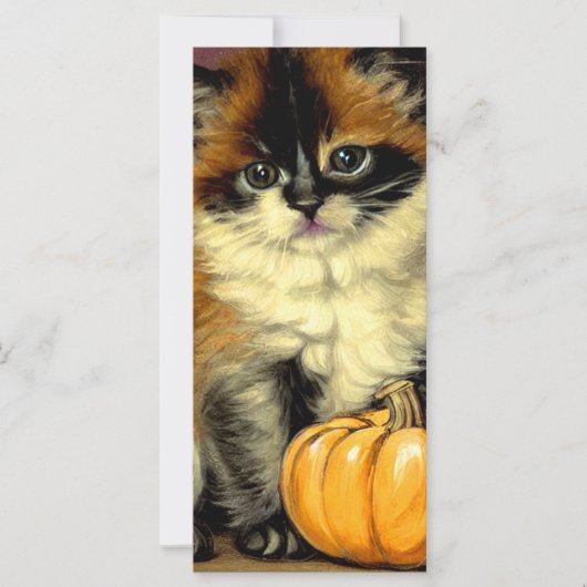 Carte Chat vintage Ragdoll Halloween (Devant)