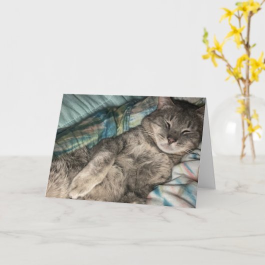 Carte Chaton (Fleur jaune)