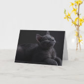 Carte Chaton (Fleur jaune)