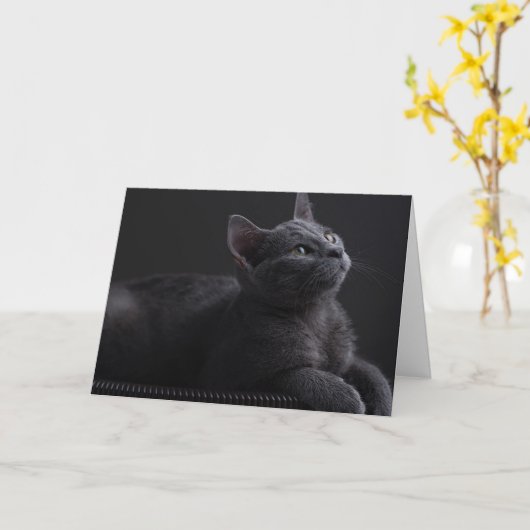 Carte Chaton (Fleur jaune)