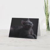 Carte Chaton (Devant)