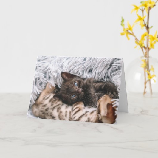 Carte Chaton (Fleur jaune)