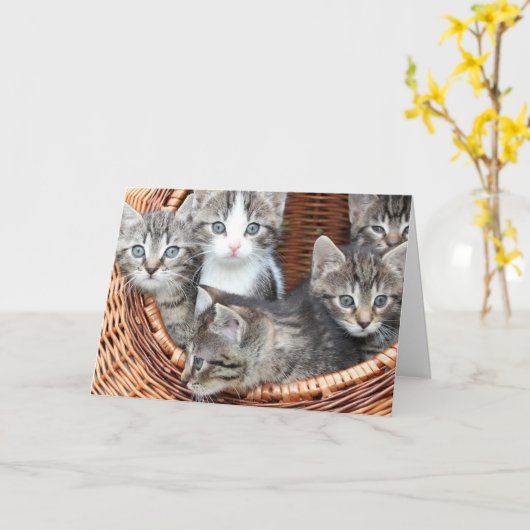 Carte Chaton (Fleur jaune)