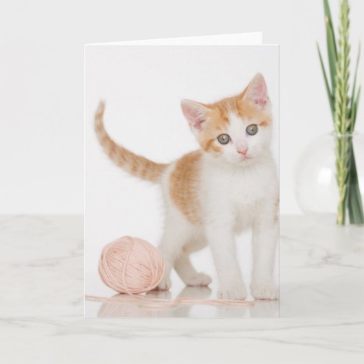 Carte Chaton à côté de boule de ficelle (Devant)