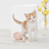 Carte Chaton à côté de boule de ficelle (Fleur jaune)