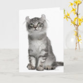 Carte Chaton américain de boucle (3 mois) (Fleur jaune)