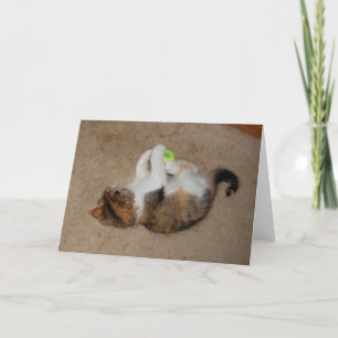 Carte Chaton au jeu avec de la balle de tennis