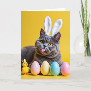 Carte Chaton aux Oreilles de Lapin Mignon