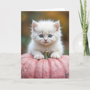 Carte Chaton Blanc Anniversaire Sur Citrouille Rose